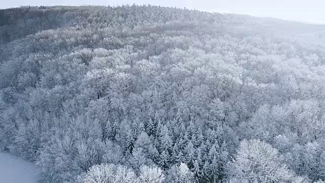 空中的冬季仙境与下奥地利雪林的嗡嗡声视频素材