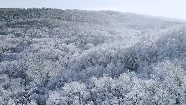 空中的冬季仙境与下奥地利雪林的嗡嗡声视频素材