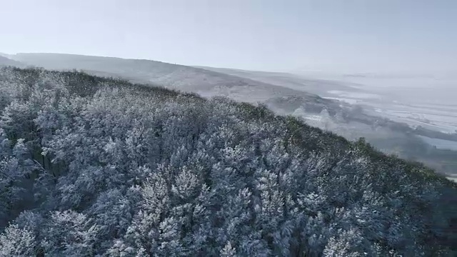 空中的冬季仙境与下奥地利雪林的嗡嗡声视频素材