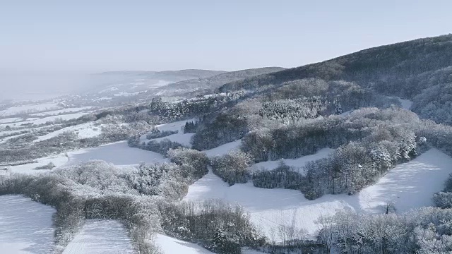 空中的冬季仙境与下奥地利雪林的嗡嗡声视频素材