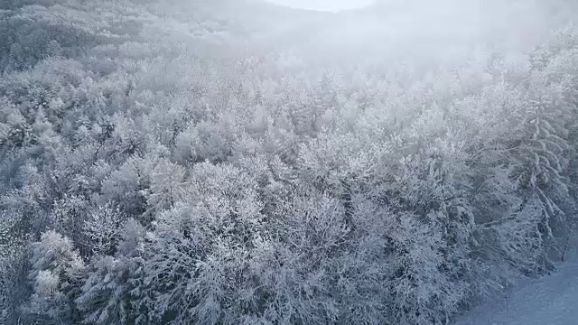 空中的冬季仙境与下奥地利雪林的嗡嗡声视频下载