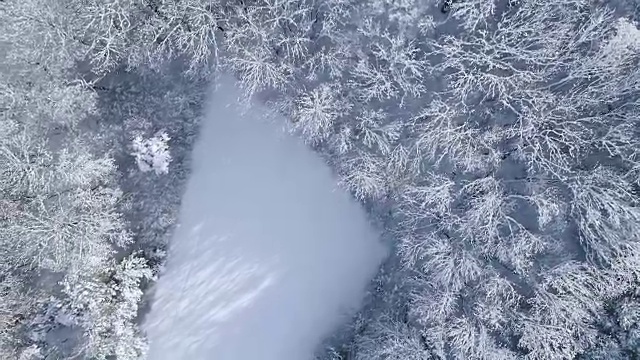 空中的冬季仙境与下奥地利雪林的嗡嗡声视频素材