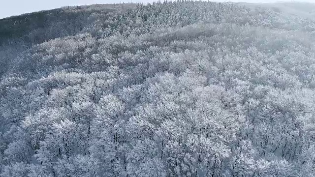 空中的冬季仙境与下奥地利雪林的嗡嗡声视频素材