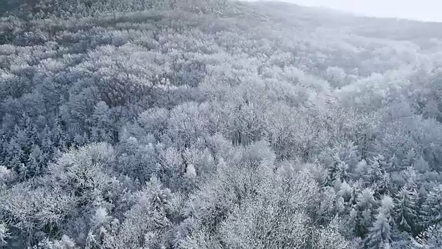 空中的冬季仙境与下奥地利雪林的嗡嗡声视频素材