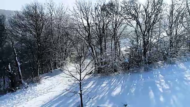 空中的冬季仙境与下奥地利雪林的嗡嗡声视频素材