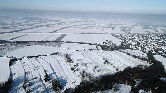 空中的冬季仙境与下奥地利雪林的嗡嗡声视频素材