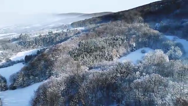 空中的冬季仙境与下奥地利雪林的嗡嗡声视频素材