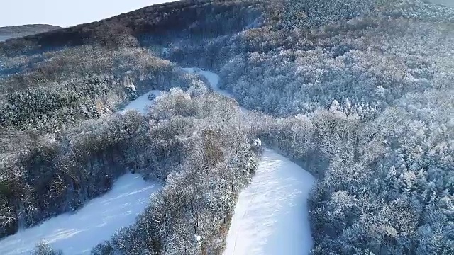 空中的冬季仙境与下奥地利雪林的嗡嗡声视频素材