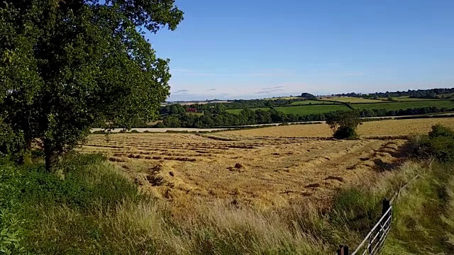 农田通往哈德威克大厅，切斯特菲尔德，英国，英国，欧洲视频素材