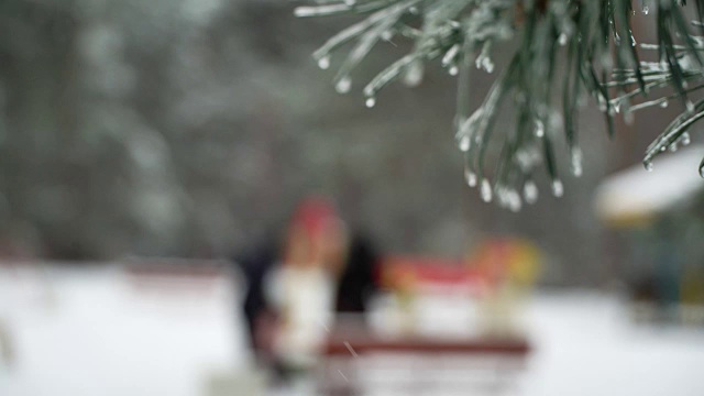 圣诞树背景下的自然雪与轻风在冰柱视频素材