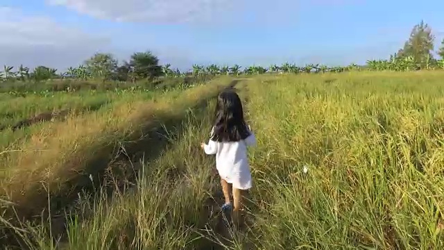 这个女孩在清晨的田野里散步。视频素材