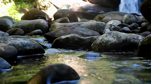 雨林中的瀑布视频素材