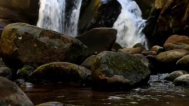 雨林中的瀑布视频素材