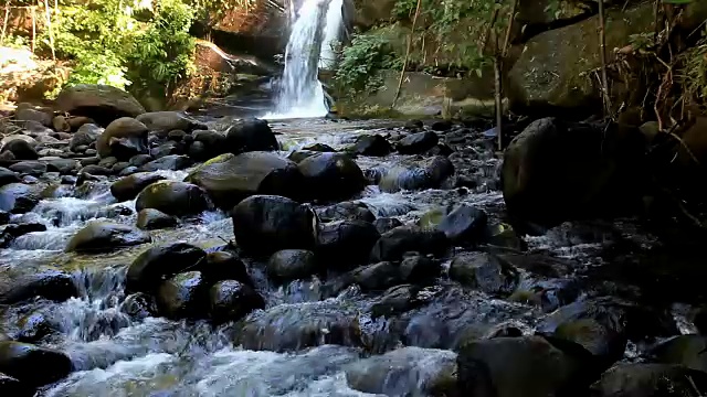 雨林中的瀑布视频素材