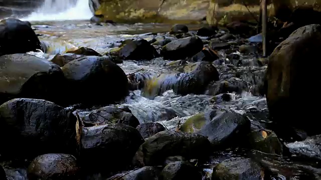 雨林中的瀑布视频素材