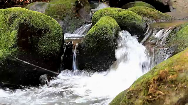 雨林中的瀑布视频素材