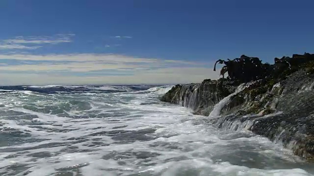 在岩石和海藻的背景下，CU的波浪打破了摄像机视频素材