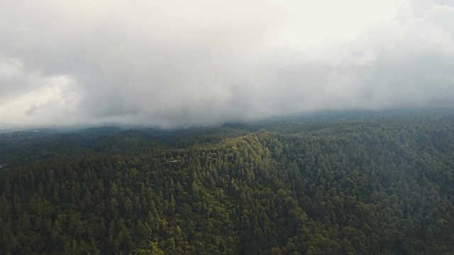 云中雨林，印度尼西亚巴厘岛视频素材