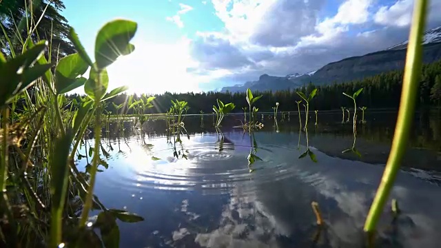 人们用手从山上的湖泊中舀取淡水视频素材