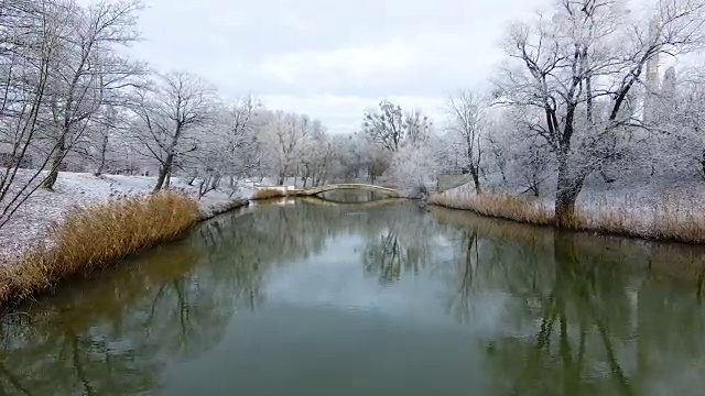 航拍:俄罗斯加里宁格勒白雪覆盖的公园视频素材