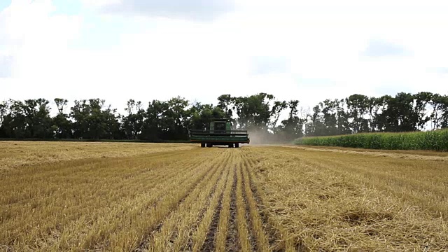 联合收割机在收获的领域驾驶视频素材