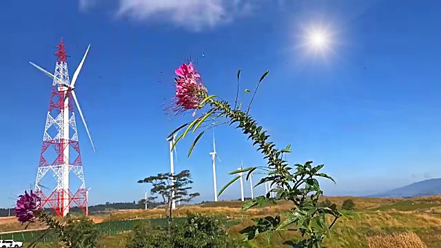 晴朗的天空和风力发电机视频素材