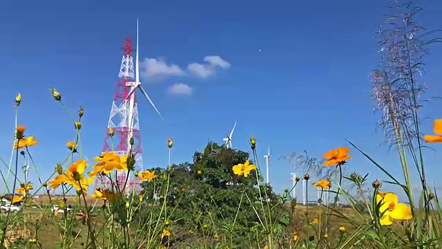 晴朗的天空和风力发电机视频素材