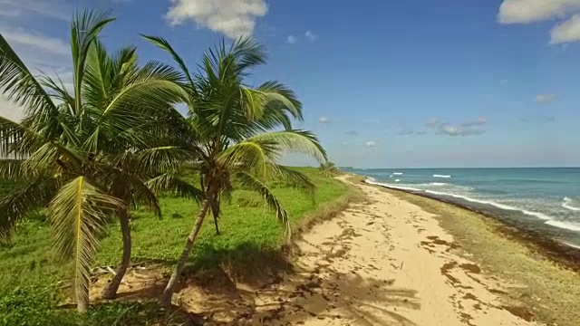 未遭破坏的海滩视频素材