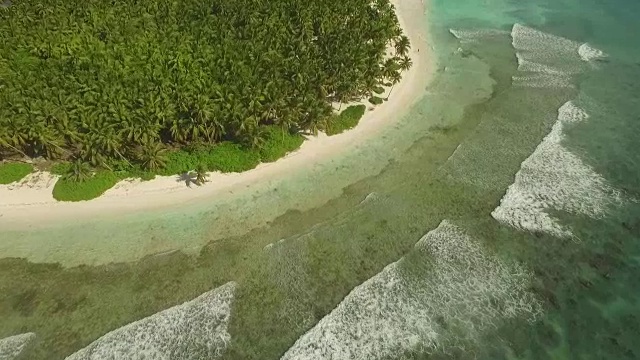 加勒比岛视频素材