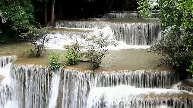 雨林中的瀑布视频素材