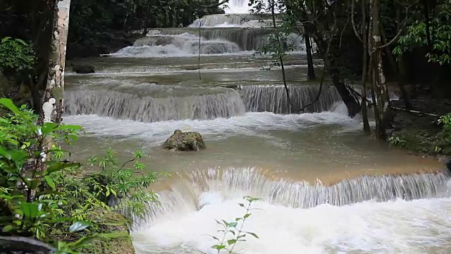 雨林中的瀑布视频素材