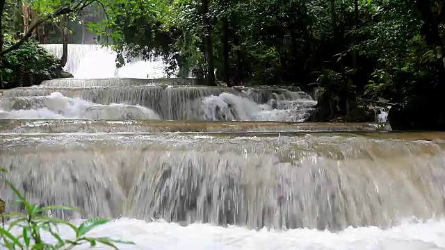 雨林中的瀑布视频素材