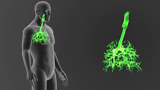 气管和身体一起放大视频素材