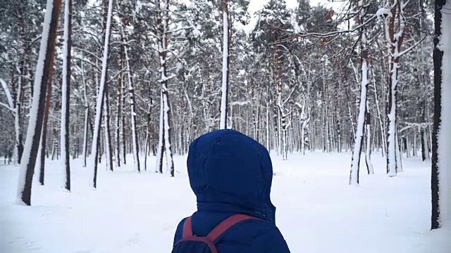 冬天。一个女孩走在白雪覆盖的森林里视频素材