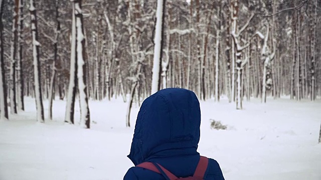 冬天。一个女孩走在白雪覆盖的森林里视频素材