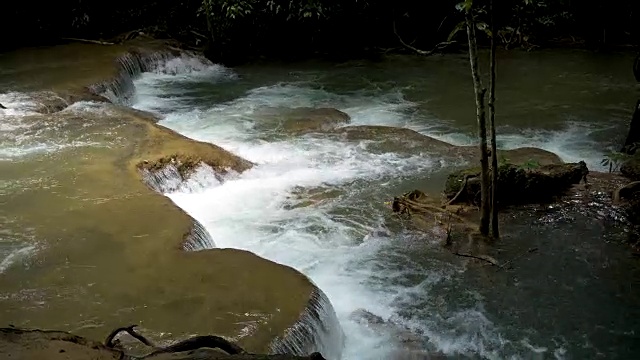 4K 自然/野生动物/天气视频素材