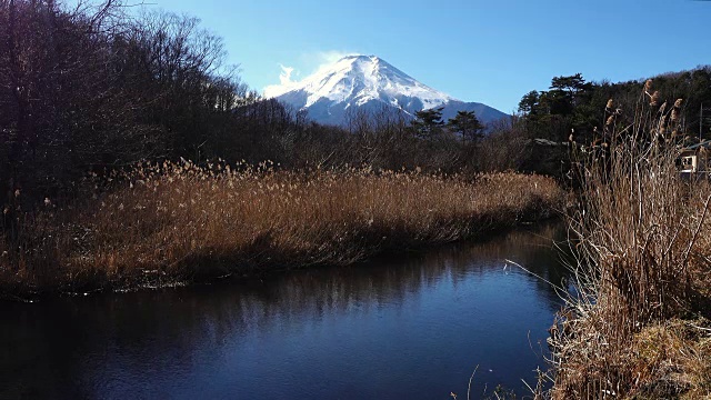 《小溪上的富士山》视频素材