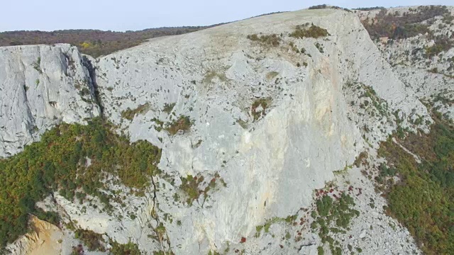 AERIAL:美丽的高山高原和绿色森林景观视频素材