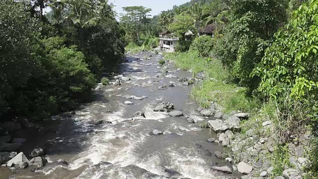 热带雨后的深山大河，岩石河岸上生长着茂密的异国森林，水流湍急，令人惊叹的河景。印尼巴厘岛视频素材