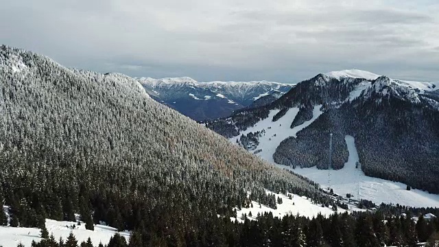 一场降雪后，无人机拍摄的被雪覆盖的树林。意大利阿尔卑斯山视频素材