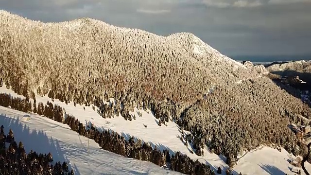 一场降雪后，无人机拍摄的被雪覆盖的树林。意大利阿尔卑斯山视频素材