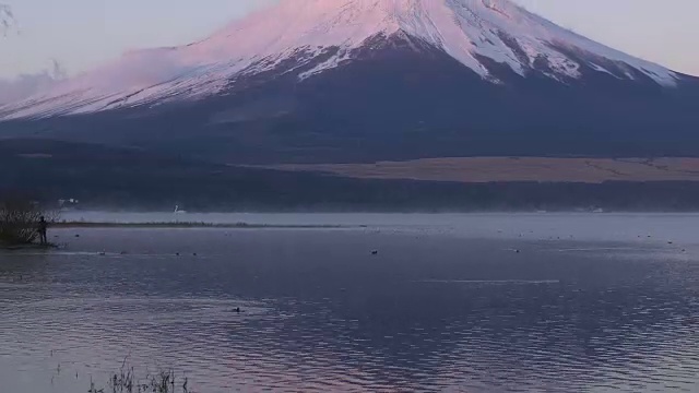 富士山上的山中湖(向上倾斜)视频素材