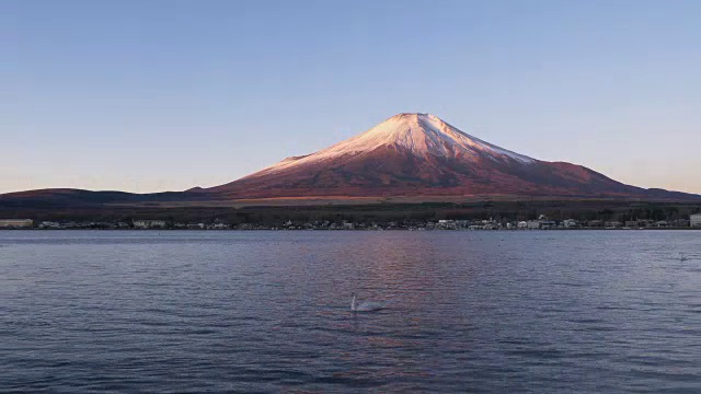 早晨的富士山由粉变白视频素材