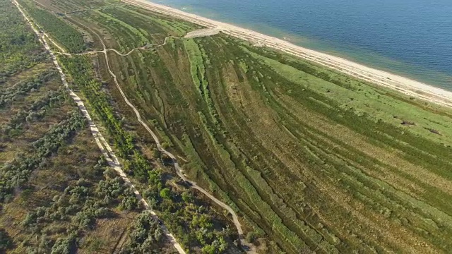 航拍图:蓝色海湾，海岸线沙质，植被繁茂视频素材