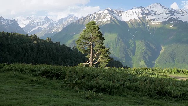 佐治亚州梅斯蒂亚，女孩在高树旁的科鲁迪湖区登山视频素材