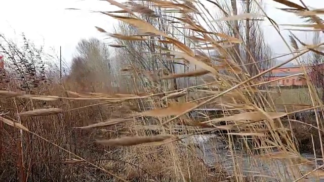 摆动簧片慢动作视频素材