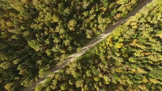 美丽的秋天森林鸟瞰图视频素材