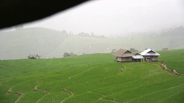 山坡上的梯田已经迎来了欢乐的季节视频素材