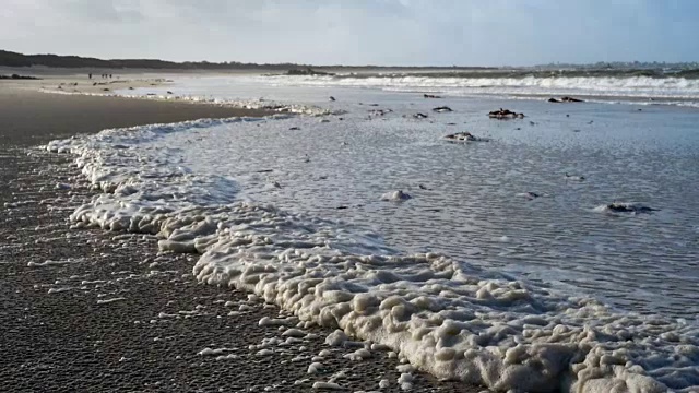 冬天的风吹在海岸上视频素材