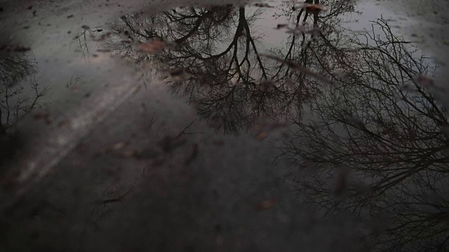 雨天视频素材